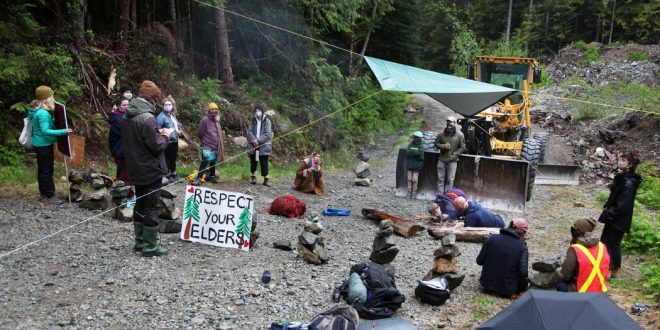 Judge Rebukes Mounties’ Handling of Fairy Creek Logging Protest