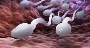 Infertility treatments? What it really means to have healthy sperms