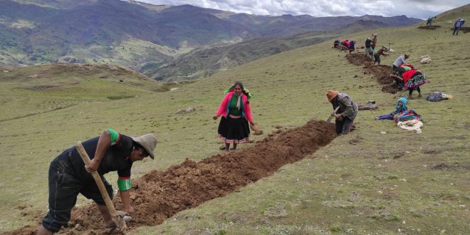 Rural Women in Peru Seed Water Today to Harvest It Tomorrow