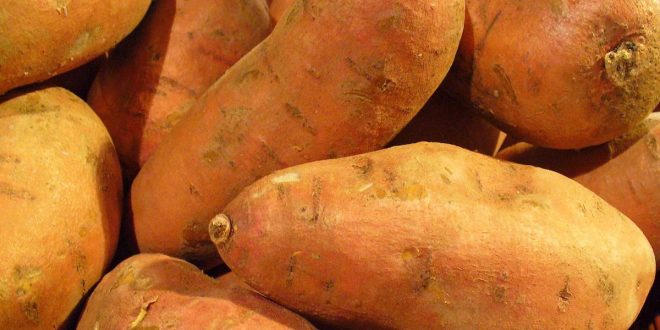 The health benefits of Sweet Potato will blow your mind