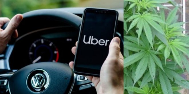 Uber introduces new service for customers to order cannabis