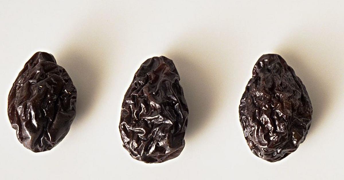 Prunes are good for constipation                                 (Here’s why)