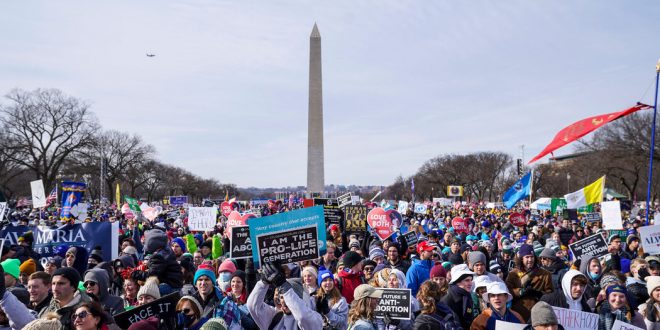 Video: Voices From the March for Life