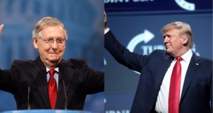McConnell, Bush, GOP Establishment Working To Foil Trump-Endorsed Candidates