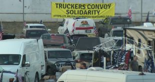 DC Trucker Convoy Defeated By National Cherry Blossom Festival