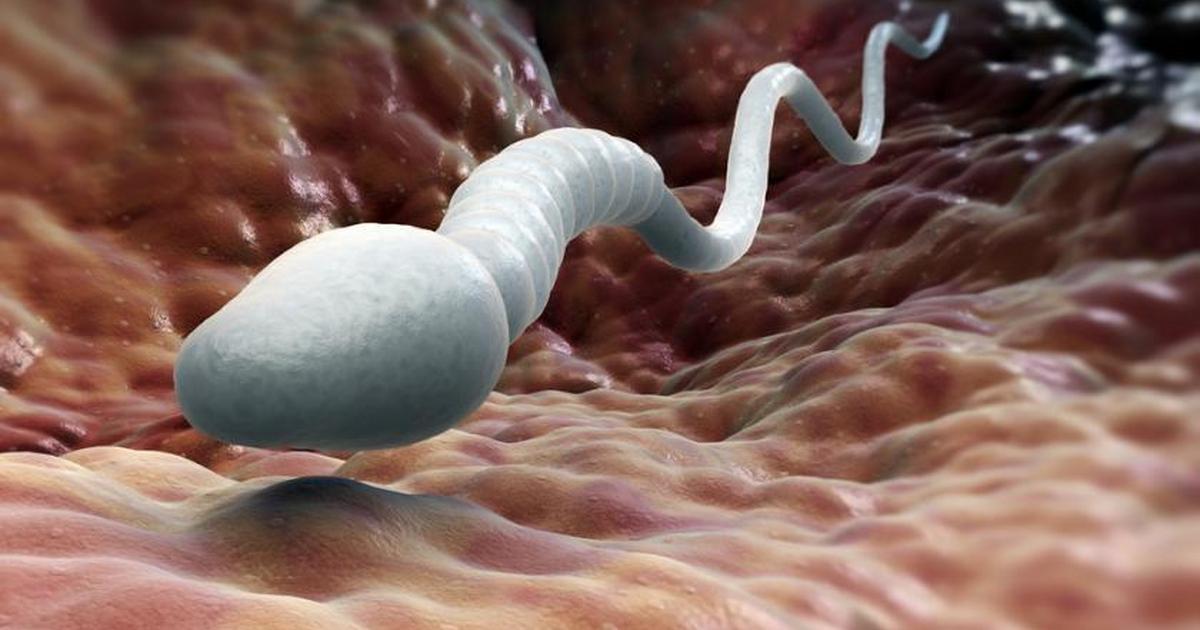 For men: 6 things you are doing that is lowering your sperm count