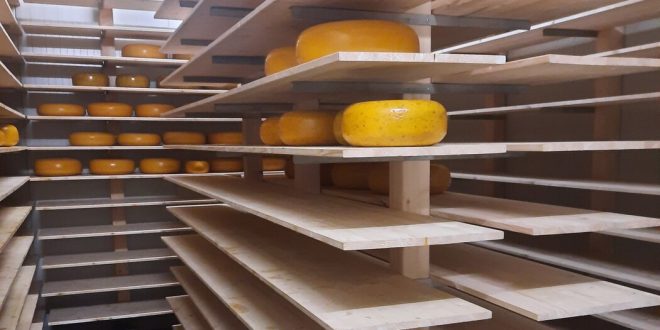 Major Cheese Heist Puts Dutch Dairy Farmers on Alert