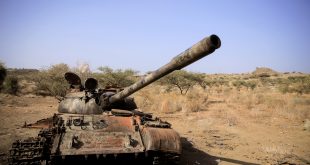 Tigray rebels leave Ethiopia’s Afar region: TPLF spokesperson