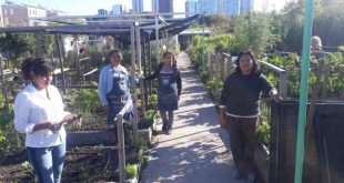 Women in Argentina Cultivate Dignity in Their Cooperative Vegetable Garden