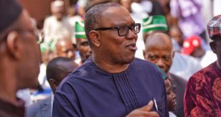 2023: There's plot to force Peter Obi out of the race - Okupe