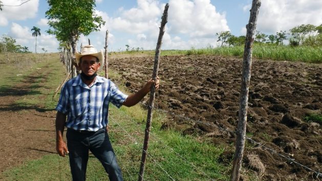 Cuban Farmers Fight Land Degradation with Sustainable Management