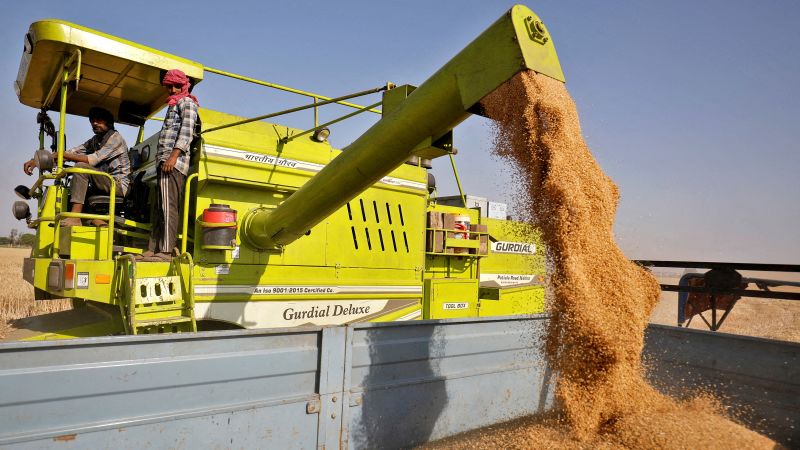India bans wheat exports as heat wave hurts crop, domestic prices soar | CNN Business