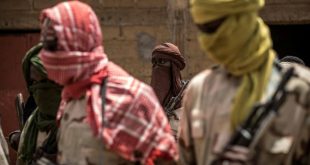 Jihadists kill 30 in northeast Nigeria