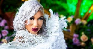 Tonto Dikeh mocks Nigerian celebrities campaigning for politicians after supporting #EndSars protest