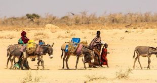 From the Field: Ethiopia’s worst drought threatens ‘deadly consequences’ for women
