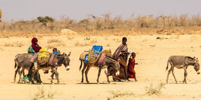 From the Field: Ethiopia’s worst drought threatens ‘deadly consequences’ for women