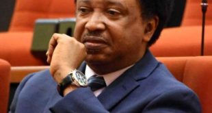 Getting two votes at PDP primary was surprising, I thought I would score zero ? Shehu Sani