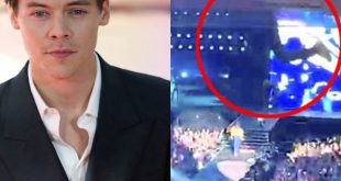 Horror moment Harry Styles fan falls from stadium balcony at concert (video)