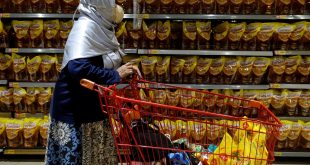 Indonesia trade minister sacked after palm oil export flip-flops