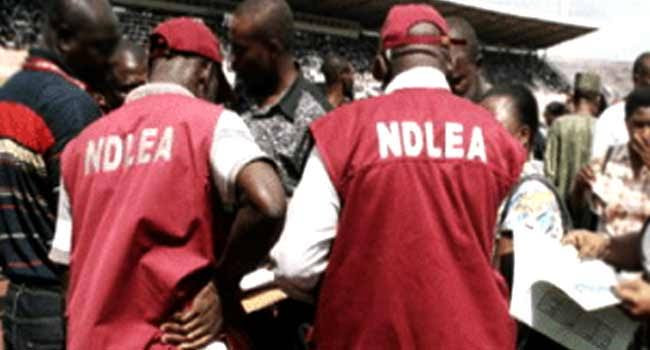 NDLEA seizes over N600m worth of drugs at Port Harcourt Airport