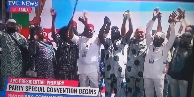 Nollywood actors spotted waving the Nigerian flag as Timi Dakolo?s song played at APC?s presidential primary (video)