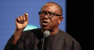 Peter Obi asks probing questions as APC select presidential candidate