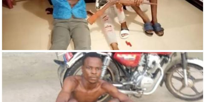 Police, vigilante kill three armed robbers in Delta, arrest seven others