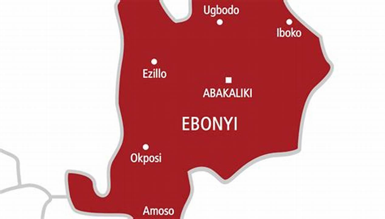 Punch: Abducted Ebonyi government house photographer regains freedom after payment of N300,000 ransom
