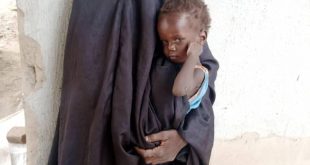 Troops find another abducted Chibok schoolgirl with her baby in Borno