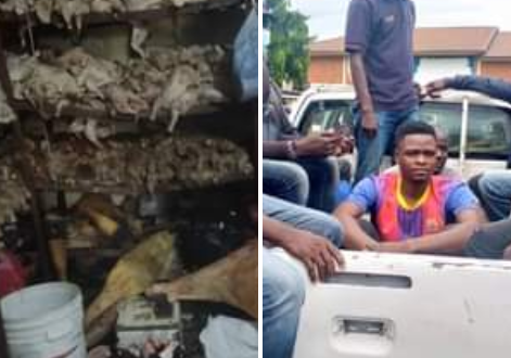Two traders arrested for allegedly selling rotten chicken in Abuja market
