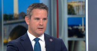 Adam Kinzinger says Trump did nothing during the 1/6 attack