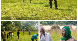 Christians join Muslims to clear grass at Kaduna mosque ahead of Sallah