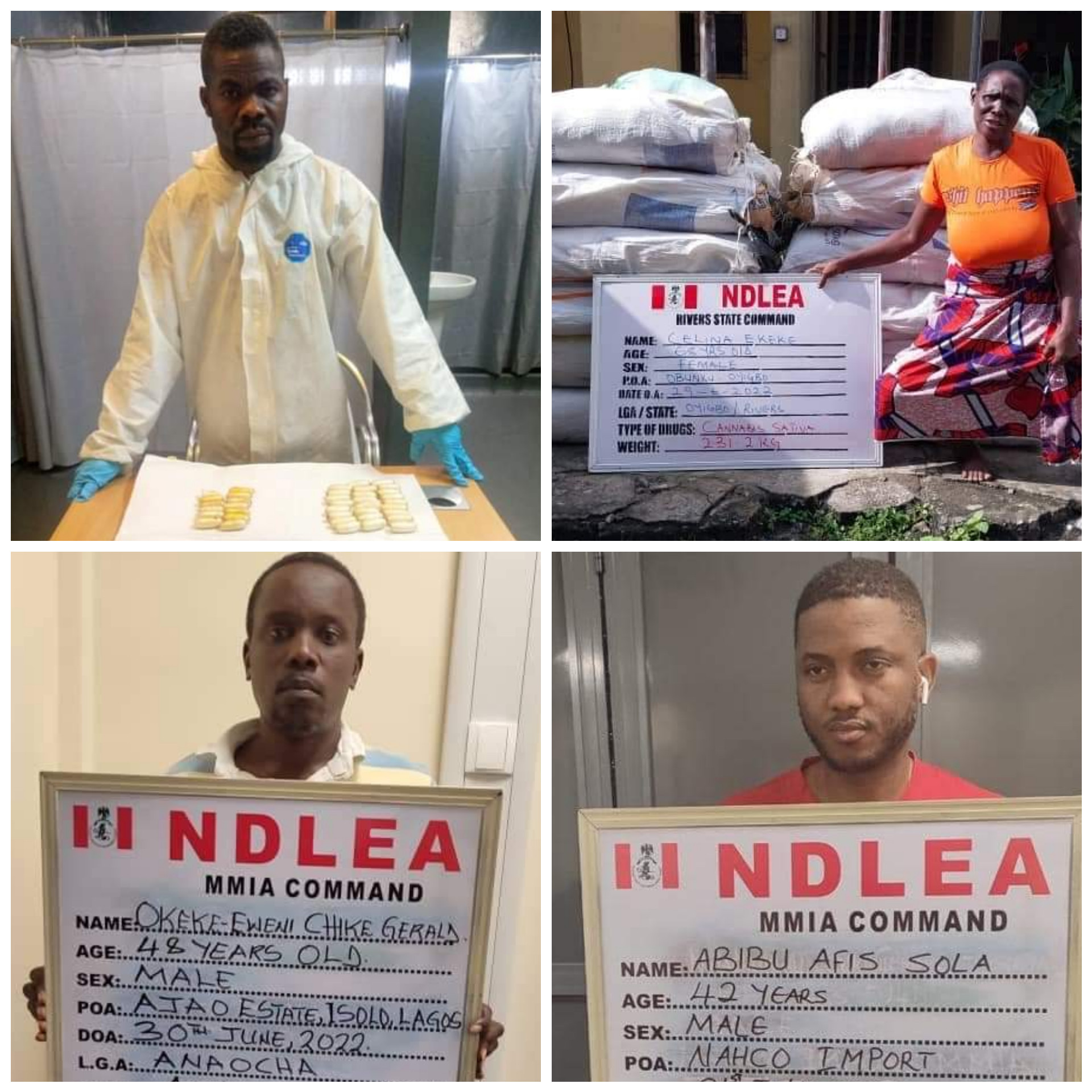 Former BRT driver excretes 90 pellets of cocaine at Lagos airport as NDLEA arrests 68-year-old woman with cannabis and intercepts N4.5b heroin in baby food