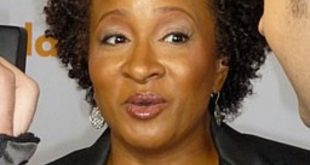 Liberal Celebrity Wanda Sykes Attacks Middle America, Providing Electoral College Fans A Built-In Argument