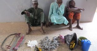 Police arrest three suspected hoodlums, recover weapons and illicit drugs in Sokoto