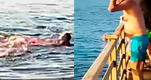 Shark rips tourist apart as horrified families watch