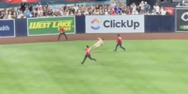 Streaker at Padres Game Showcases Decent Juke Moves Before Getting Gang-Tackled