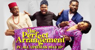 The Perfect Arrangement review: A Lackluster love story with wasted potential
