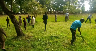 United by Sallah: Kaduna Christians join Muslims to clear grass at mosque