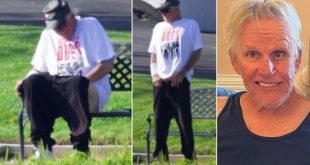Actor Gary Busey pictured sitting in a public park with his pants down after being charged with groping three women (photos)