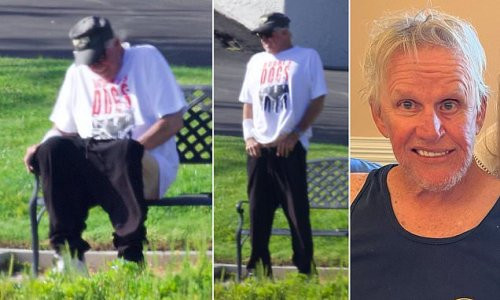 Actor Gary Busey pictured sitting in a public park with his pants down after being charged with groping three women (photos)