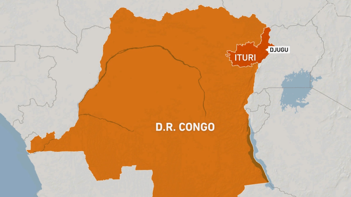 At least 14 dead in rebel attacks in eastern DR Congo