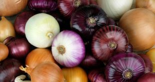 How onions improves men's sex drive and health