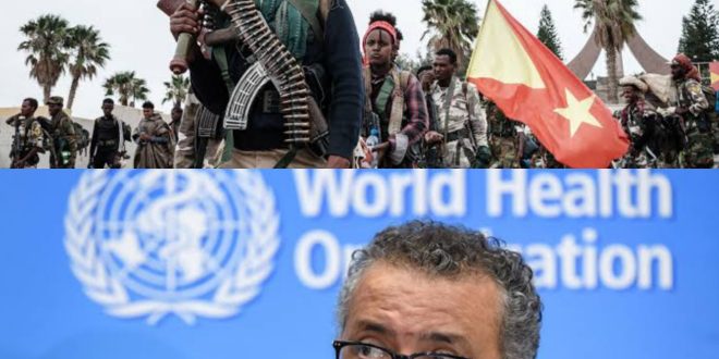 'I don't know even who is dead or who is alive' - WHO boss Tedros Ghebreyesus says he can't send money to his starving family due to Ethiopia's Tigray war