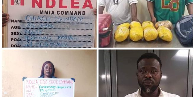 NDLEA arrests Lagos airport cleaner who allegedly leads drug syndicate