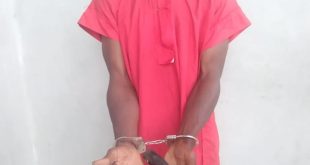 Police arrest passenger with gun concealed close to his private part in Delta