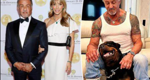 Sylvester Stallone addresses reports that a dog led to the end of his marriage