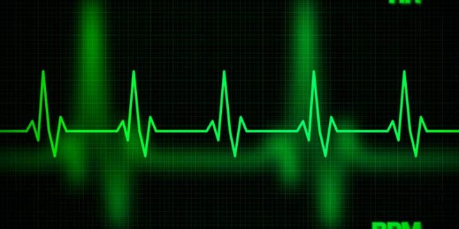 What Is Bradycardia? AKA Low Heart Rate