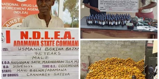75-year-old grandpa, lady and 20 others arrested over tons of illicit drugs seized in seven states