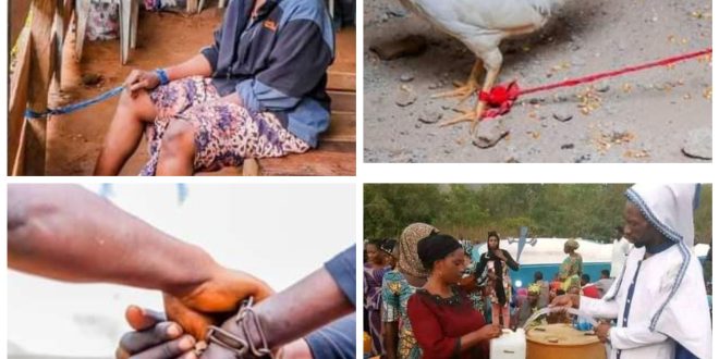 Bulletproof water: Kogi Govt seals church over alleged medical quackery and fraudulent activities, rescues chained people